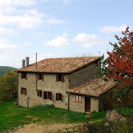 A Stay Surrounded By Greenery - Agriturismo La Piaggia - App 2 Bathrooms Vivo d'Orcia Exterior photo