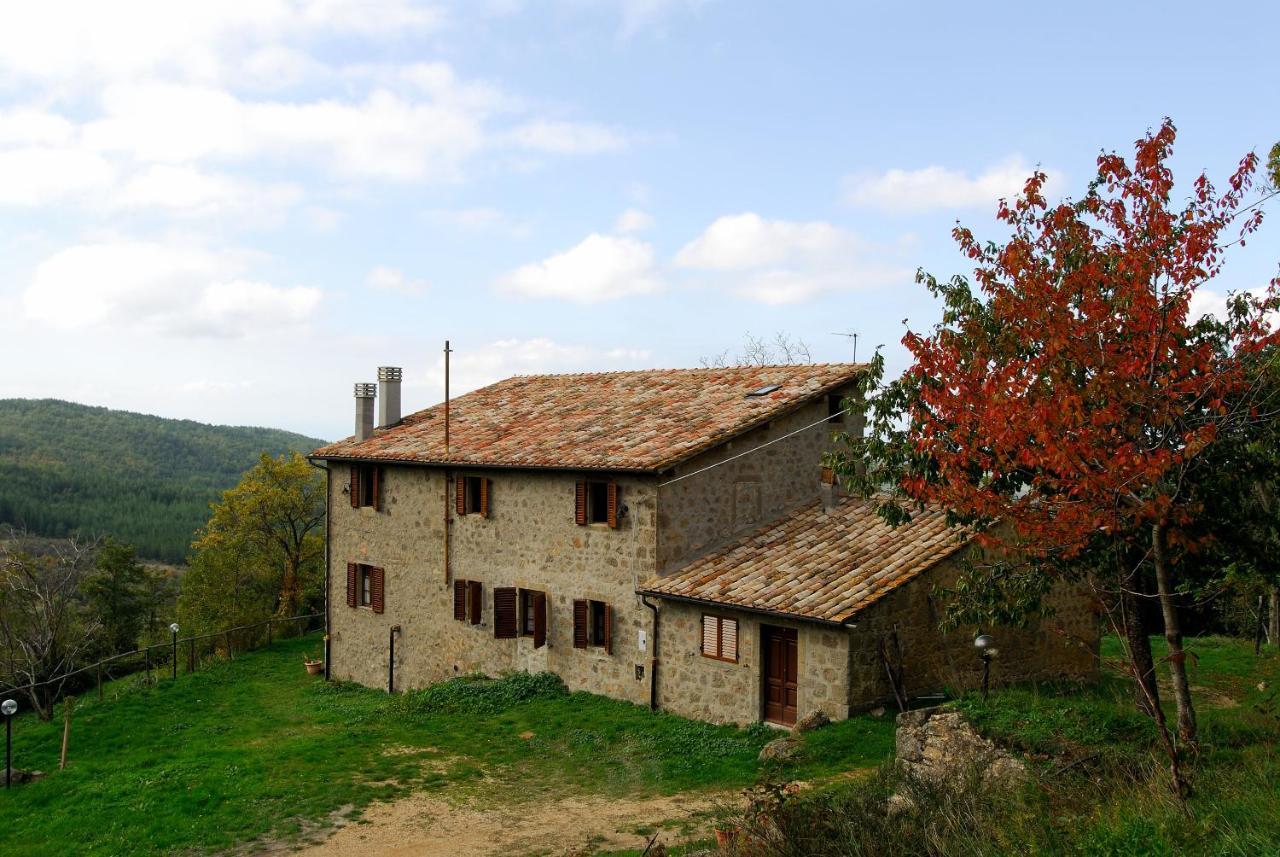 A Stay Surrounded By Greenery - Agriturismo La Piaggia - App 2 Bathrooms Vivo d'Orcia Exterior photo