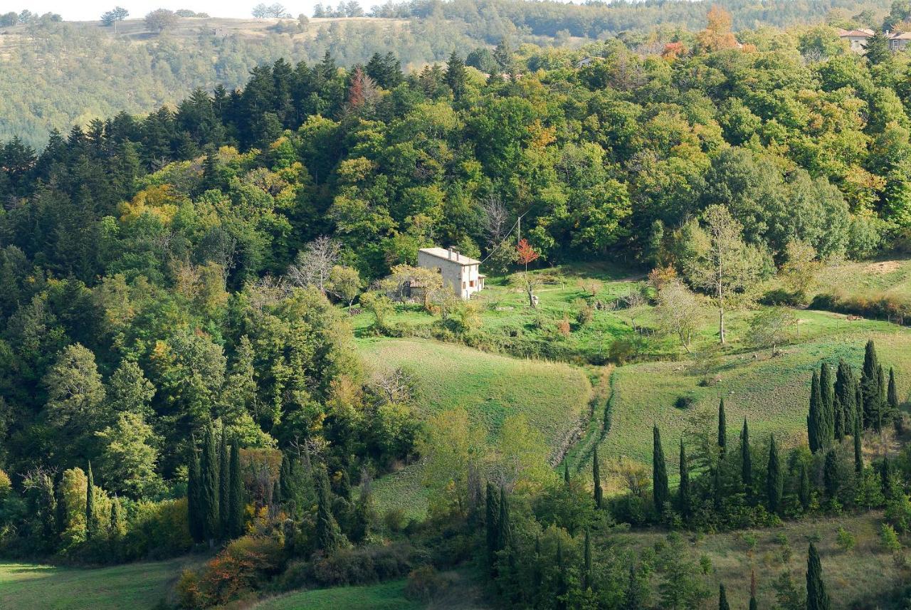 A Stay Surrounded By Greenery - Agriturismo La Piaggia - App 2 Bathrooms Vivo d'Orcia Exterior photo