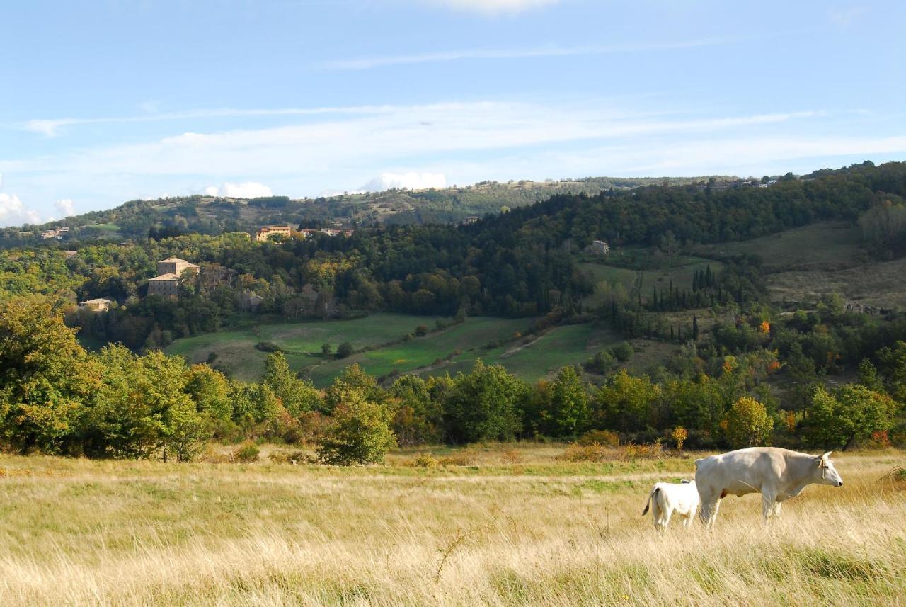 A Stay Surrounded By Greenery - Agriturismo La Piaggia - App 2 Bathrooms Vivo d'Orcia Exterior photo