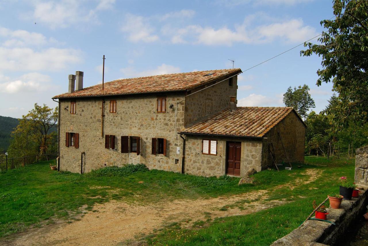 A Stay Surrounded By Greenery - Agriturismo La Piaggia - App 2 Bathrooms Vivo d'Orcia Exterior photo