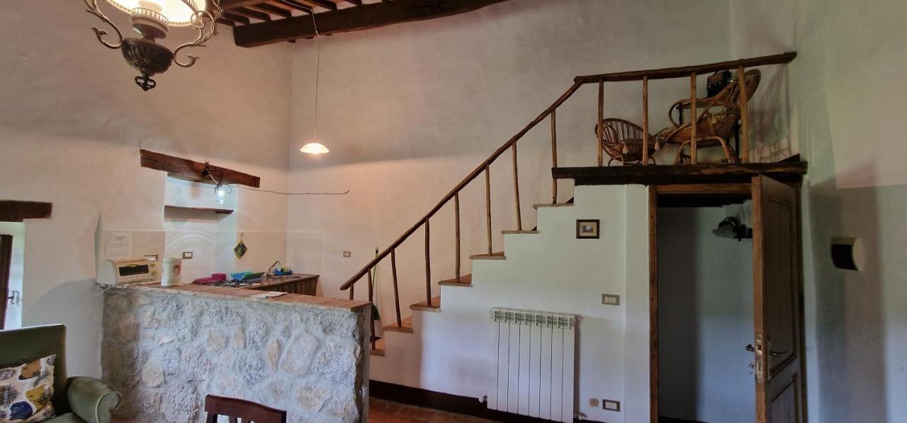 A Stay Surrounded By Greenery - Agriturismo La Piaggia - App 2 Bathrooms Vivo d'Orcia Exterior photo